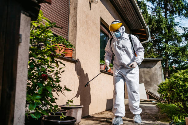 Best Flea Control Services  in Shamrock, TX