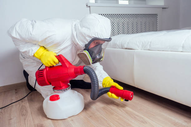 Best Mosquito Control Services  in Shamrock, TX