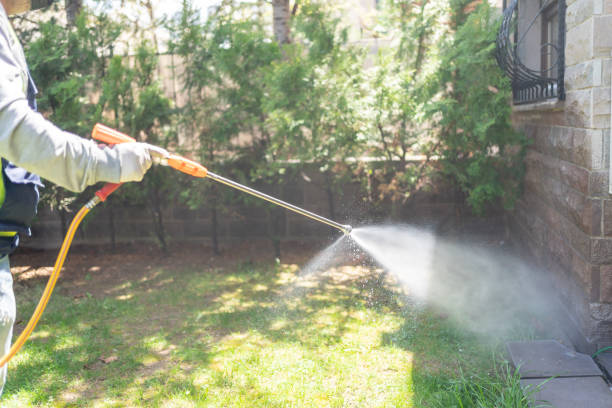 Professional Pest Control in Shamrock, TX