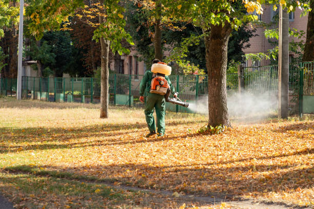 Best Bed Bug Extermination  in Shamrock, TX