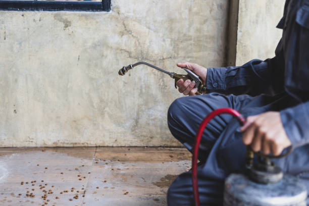 Best Affordable Pest Control Services  in Shamrock, TX